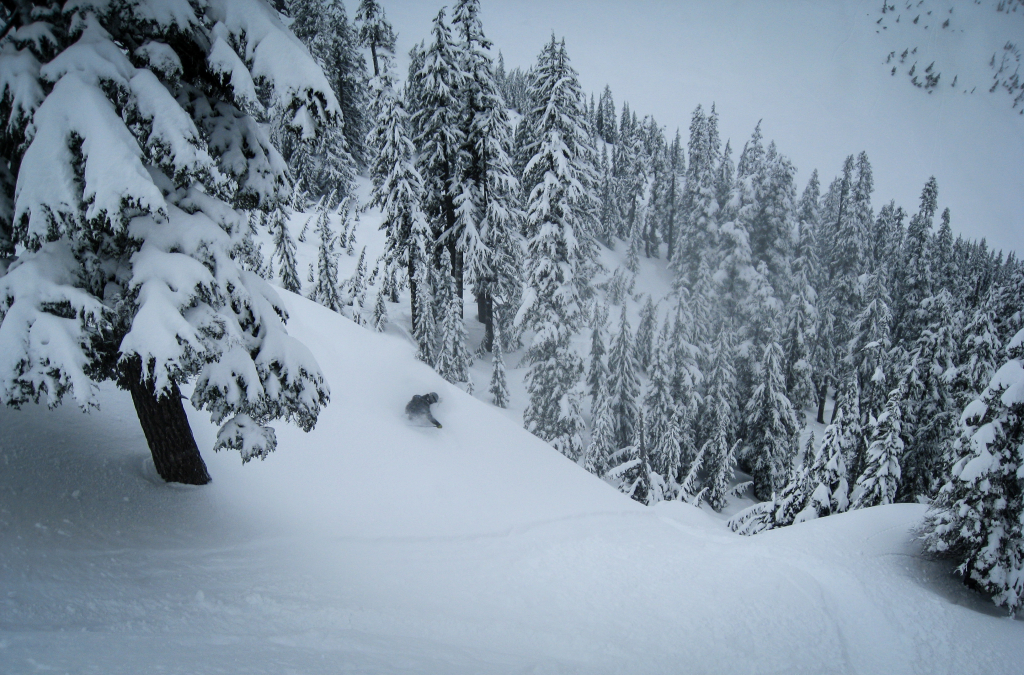 Alpental powder skiing, Seattle, Cascades, Snoqualmie Pass