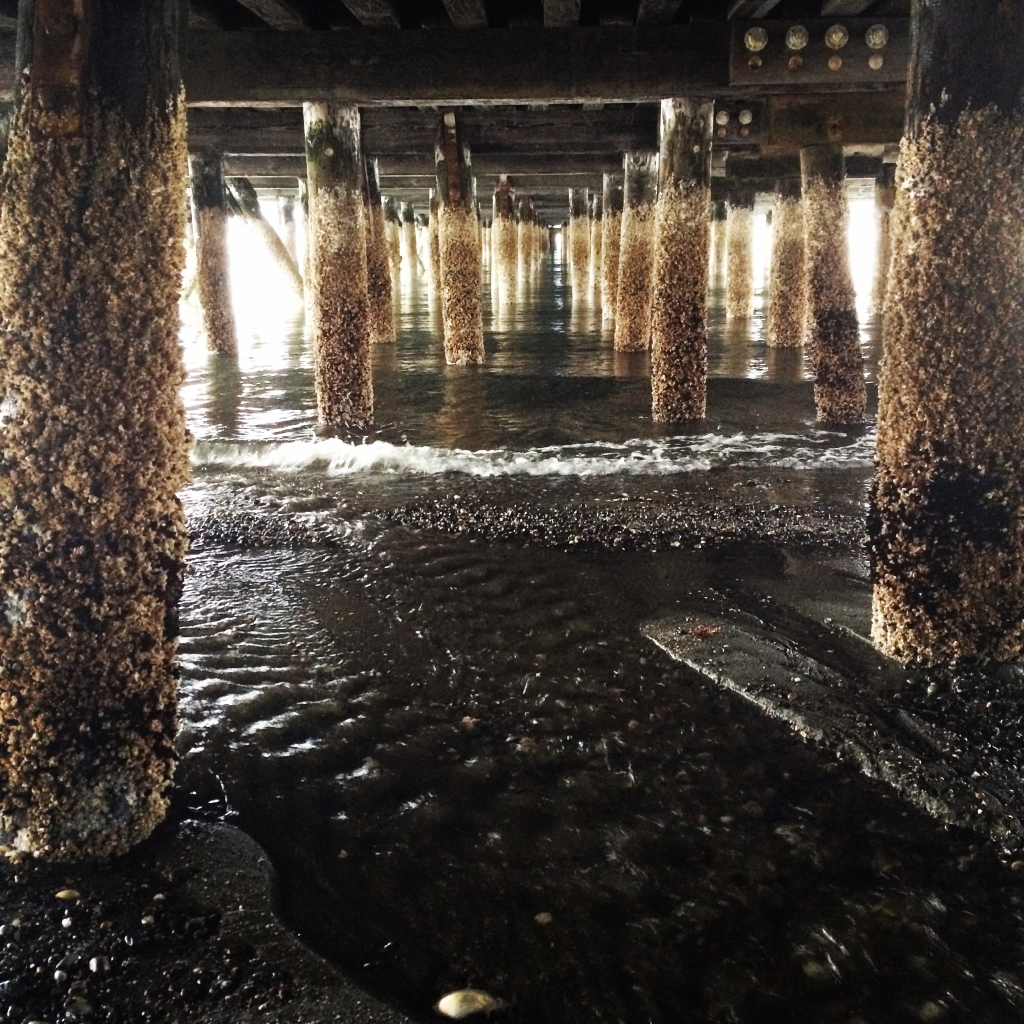 Hidden from passerbys, Fauntleroy Creek meets the sea. 